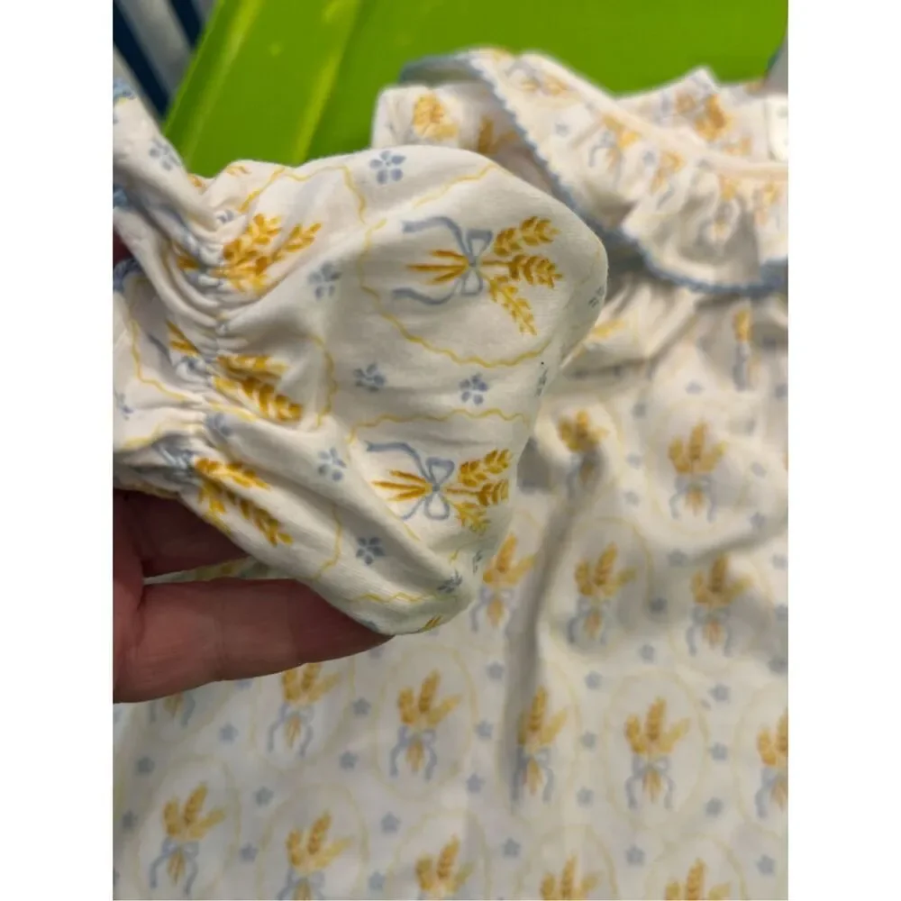 Shrimp and Grits kids smock harvest dress